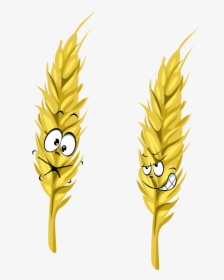 Ear Wheat Cartoon Png Download Free Clipart - Wheat Cartoon Png, Transparent Png, Free Download