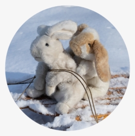 Nutmeg And Binky - Hare, HD Png Download, Free Download