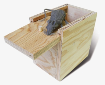 Mouse In A Box, HD Png Download, Free Download