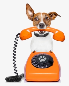 Paw-destrian Contact Us Dog Phone Shadow Image - Dog Telephone, HD Png Download, Free Download