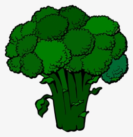 Broccoli Clipart, HD Png Download, Free Download