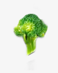 Brocoli Freetoedit - Broccoli, HD Png Download, Free Download