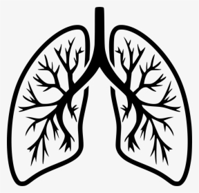 Breathe - Lungs Black And White, HD Png Download, Free Download