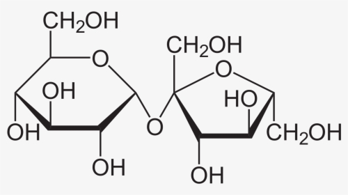 Structure Of Sucrose, HD Png Download, Free Download