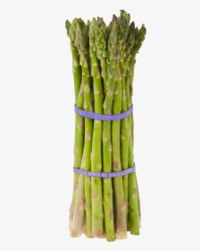 Asparagus Png Image - Asparagus Meaning In Bengali, Transparent Png, Free Download