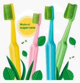 Eco Toothbrush, HD Png Download, Free Download