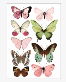 Vintagebutterflys, HD Png Download, Free Download