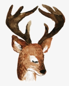 Cartoon Longhorn Deer Png , Png Download - 手繪 Logo, Transparent Png, Free Download