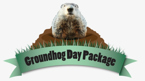 Groundhog Day Png, Transparent Png, Free Download