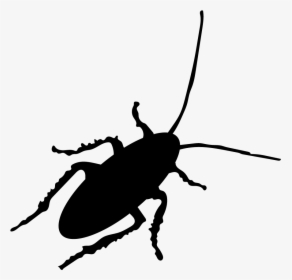 Thumb Image - Cockroach Vector Png, Transparent Png, Free Download