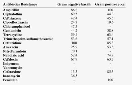 Klebsiella Pneumoniae Atcc 700603 Colistin, HD Png Download, Free Download