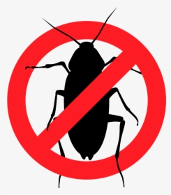 No Cockroaches Allowed - Rats Cockroaches Flies, HD Png Download, Free Download