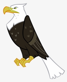 Go To Image Cartoon Eagle No Background- - My Little Pony Eagle, HD Png Download, Free Download