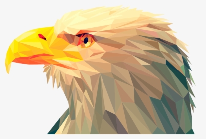 Geometric Eagle Png - Bald Eagle Low Poly, Transparent Png, Free Download