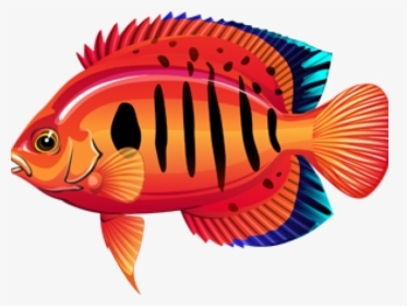 Free Download Clip Art - Coral Reef Fish, HD Png Download, Free Download