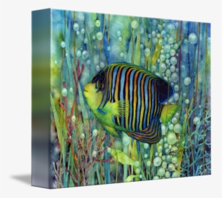 Transparent Angelfish Png - Royal Angelfish, Png Download, Free Download