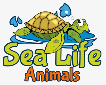 Clipart Turtle Sea Life, HD Png Download, Free Download