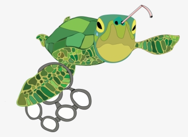 Turtle - Turtle In Plastic Clipart, HD Png Download, Free Download