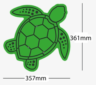 Transparent Turtle - Kemp's Ridley Sea Turtle, HD Png Download, Free Download