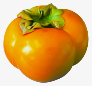 Persimmon Png Image - Portable Network Graphics, Transparent Png, Free Download