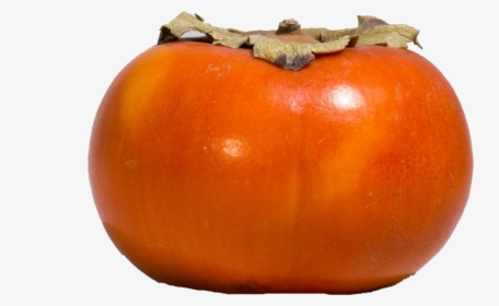 Persimmon Png - Bush Tomato, Transparent Png, Free Download