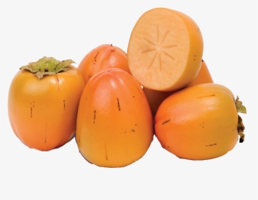 Persimmon Png - Spanish Persimmon, Transparent Png, Free Download