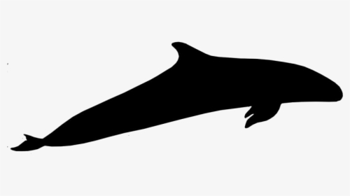 Whale Png Cartoon - Wholphin, Transparent Png, Free Download