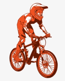 Young Boy Riding On A Mountain Bike - Bmx Bike, HD Png Download, Free Download