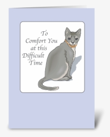 Cat Sympathy, Pet Loss, Grey Cat Greeting Card - Loss Of Pet Cat Sympathy, HD Png Download, Free Download