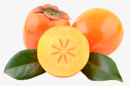 Persimmon Png, Transparent Png, Free Download