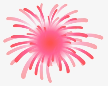 Transparent Fogos Png - Sea Anemone, Png Download, Free Download