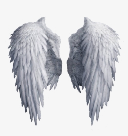 White Wings Png Image - Transparent Background Angel Wings Png, Png Download, Free Download