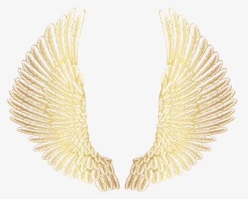 Wings Png , Png Download - Gold Angel Wings Png, Transparent Png, Free Download