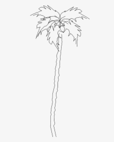 Tree 5723d View"  Class="mw 100 Mh 100 Pol Align Vertical - Line Art, HD Png Download, Free Download