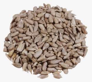 Malt, HD Png Download, Free Download