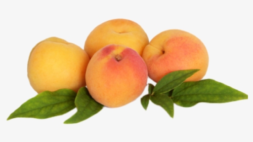 Peach Tree - Blackberry Fruit, HD Png Download, Free Download