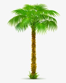 Clip Art Palm Trees Portable Network Graphics California - Transparent Background Palm Tree Clipart, HD Png Download, Free Download