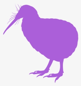 Red Kiwi Bird , Transparent Cartoons - Illustration, HD Png Download, Free Download
