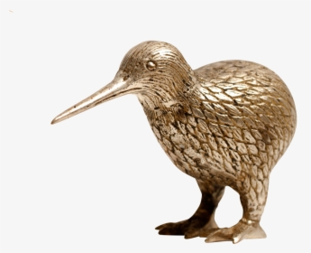 Transparent Kiwi Bird Png - Dowitcher, Png Download, Free Download