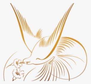 Kiwi Bird Clipart Golden - طرح خطی گل و مرغ, HD Png Download, Free Download