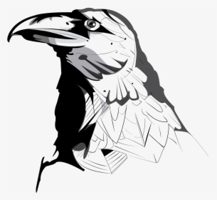 Black Crow Png -crow Ave Animal Free Picture - Crows Drawings, Transparent Png, Free Download