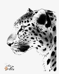 Leopard Face Png Picture - Animals Painting Black And White, Transparent Png, Free Download