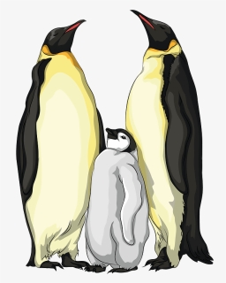 Emperor Penguin, HD Png Download, Free Download