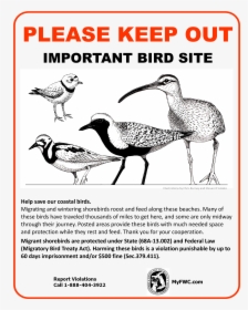 Shore Bird Protection Sign, HD Png Download, Free Download