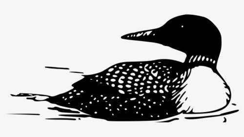 Loon Clip Art, HD Png Download, Free Download