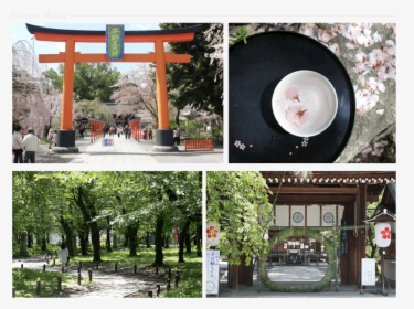 Shinto Shrine, HD Png Download, Free Download