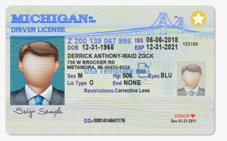 Michigan Driver License Template - Michigan Enhanced Drivers License, HD Png Download, Free Download