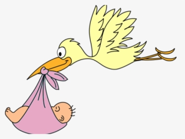 Pelican Clipart Baby - Stork Baby Clipart, HD Png Download, Free Download