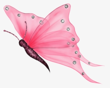 Thumb Image - Transparent Background Butterfly Png, Png Download, Free Download