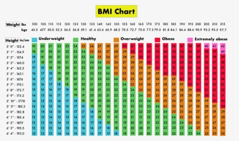 Do I Have To Be Friends With My Scale - Colorfulness, HD Png Download, Free Download